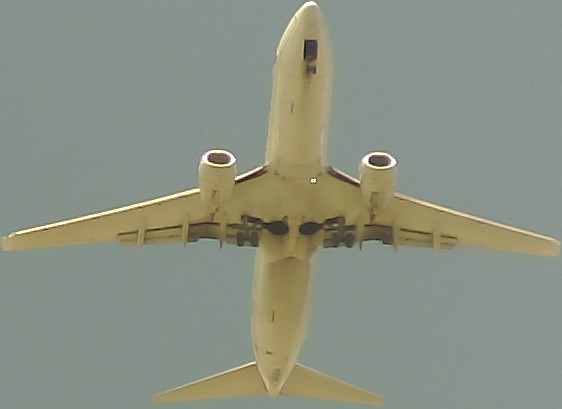 Airplane Picture