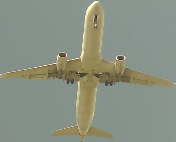 Airplane Picture