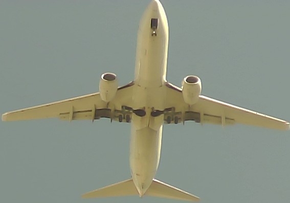 Airplane Picture