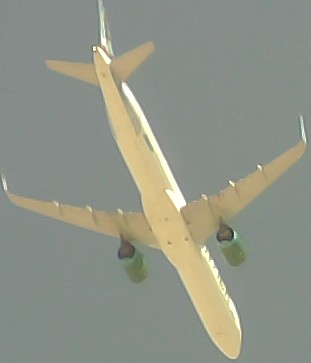 Airplane Picture