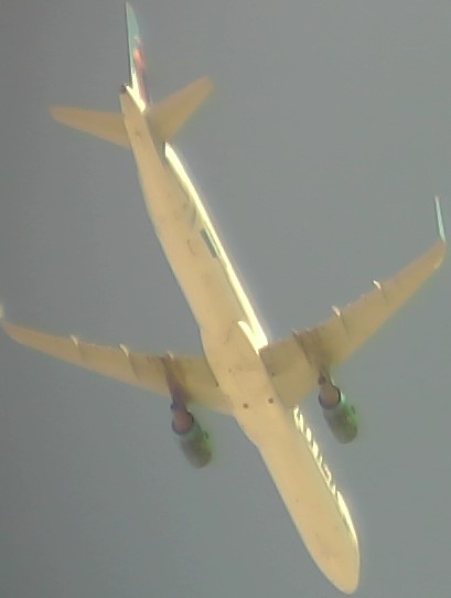 Airplane Picture