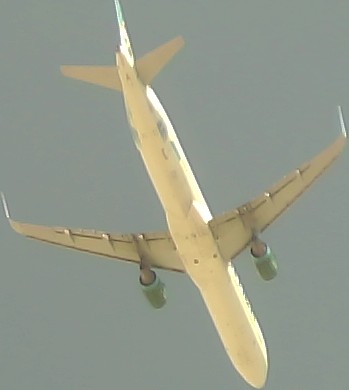 Airplane Picture