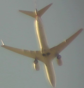 Airplane Picture