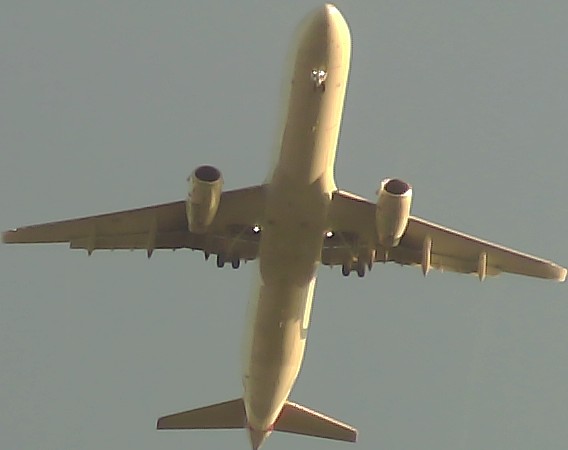 Airplane Picture