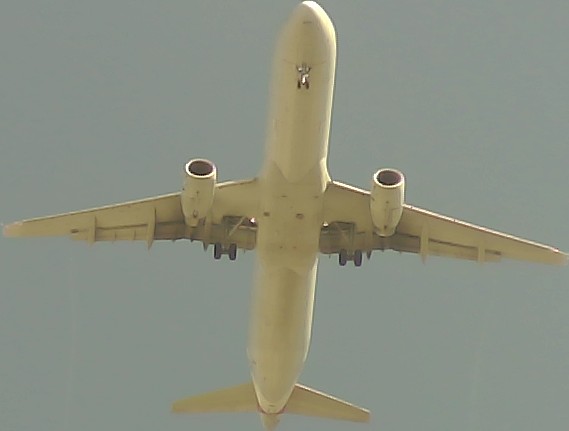 Airplane Picture