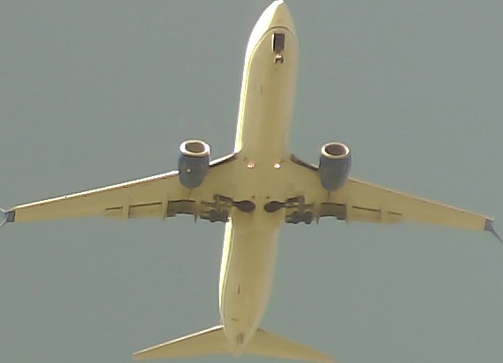 Airplane Picture
