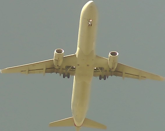 Airplane Picture