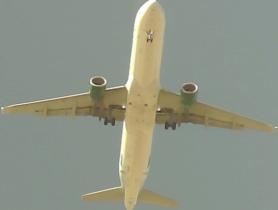 Airplane Picture