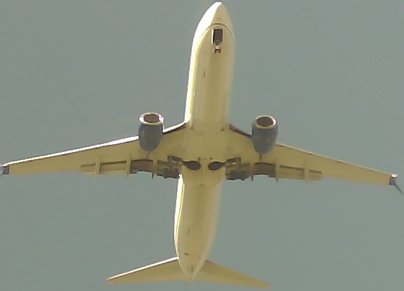 Airplane Picture
