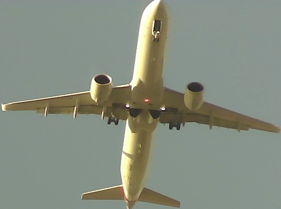 Airplane Picture