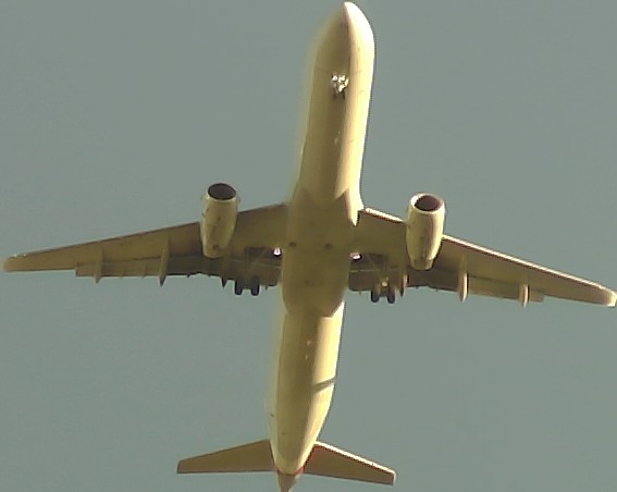 Airplane Picture