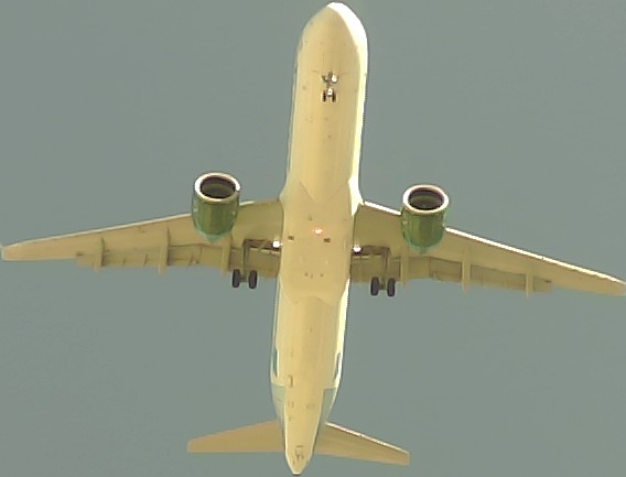 Airplane Picture