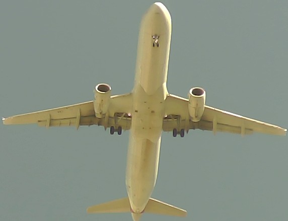 Airplane Picture
