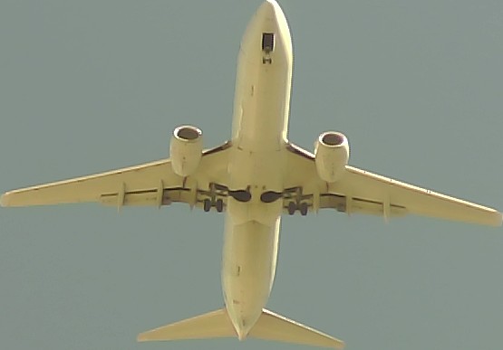 Airplane Picture
