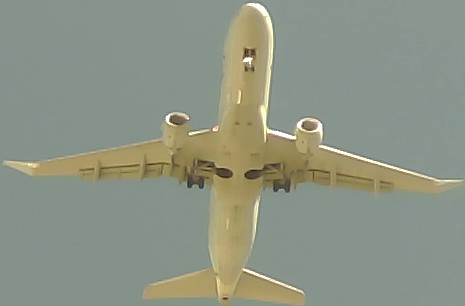 Airplane Picture