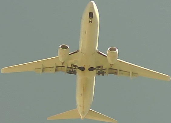 Airplane Picture