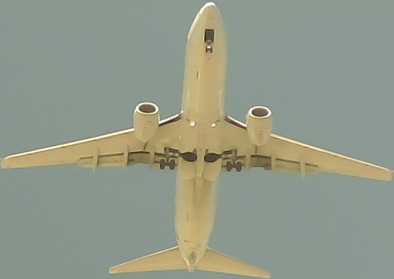 Airplane Picture