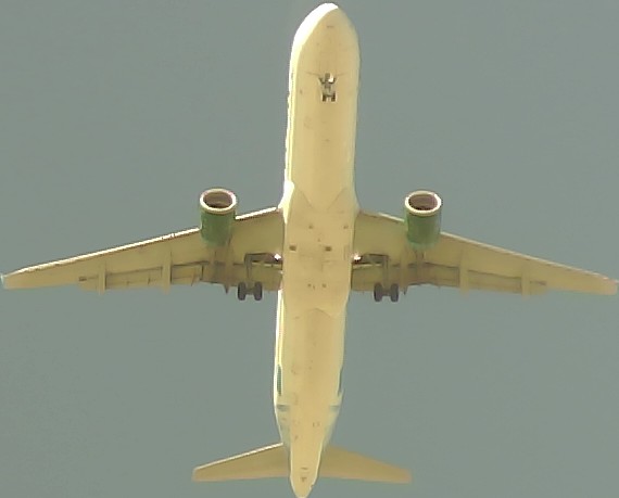 Airplane Picture
