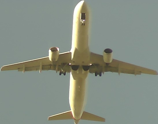 Airplane Picture