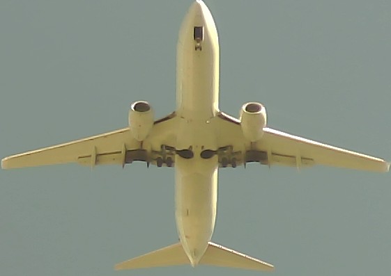 Airplane Picture