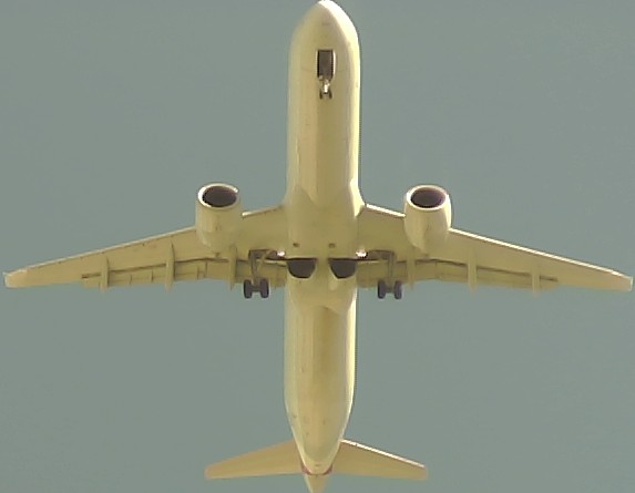 Airplane Picture