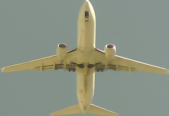 Airplane Picture