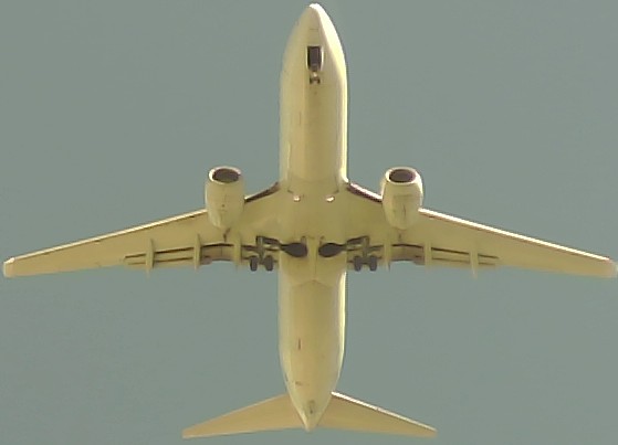 Airplane Picture