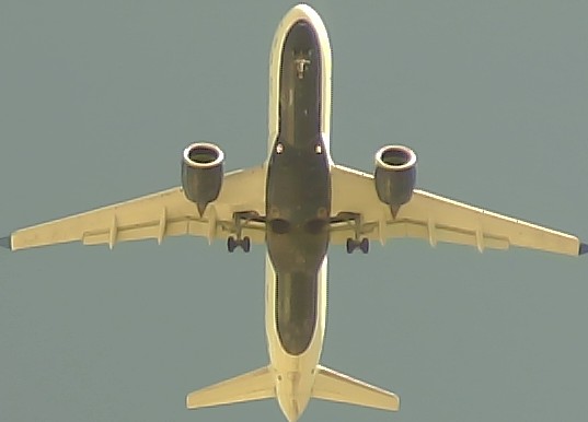 Airplane Picture
