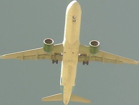 Airplane Picture
