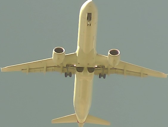 Airplane Picture