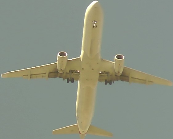 Airplane Picture