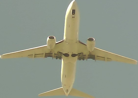 Airplane Picture