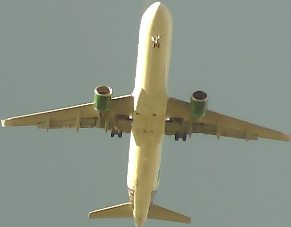 Airplane Picture