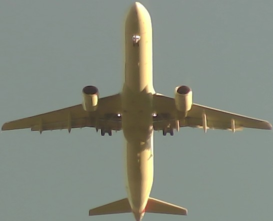 Airplane Picture