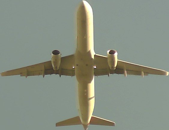 Airplane Picture