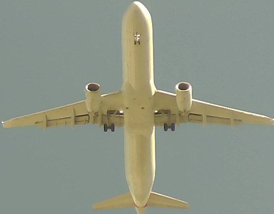 Airplane Picture