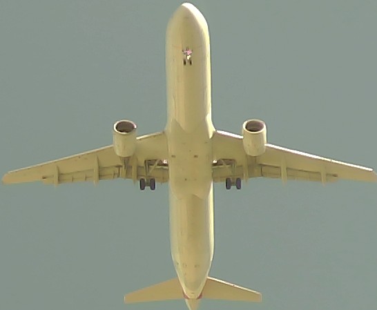 Airplane Picture