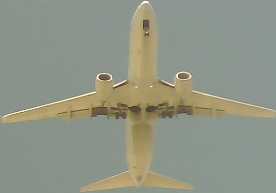 Airplane Picture
