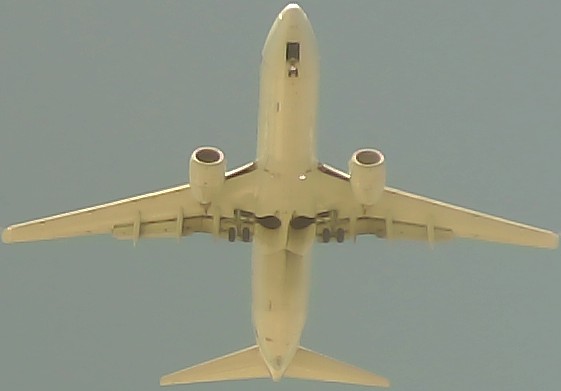 Airplane Picture