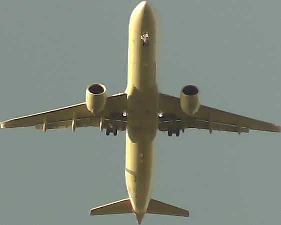 Airplane Picture