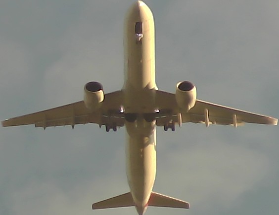 Airplane Picture