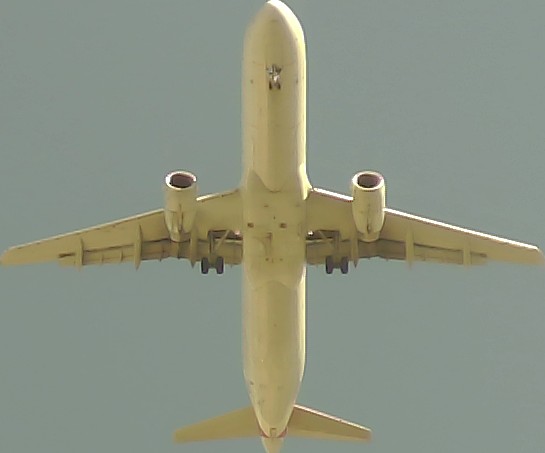 Airplane Picture