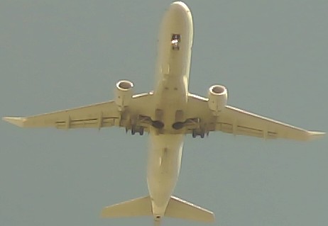 Airplane Picture