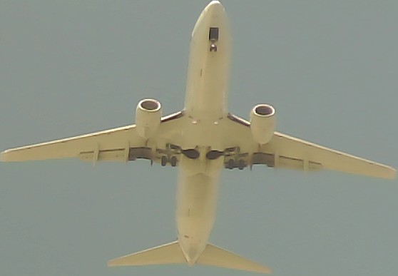 Airplane Picture
