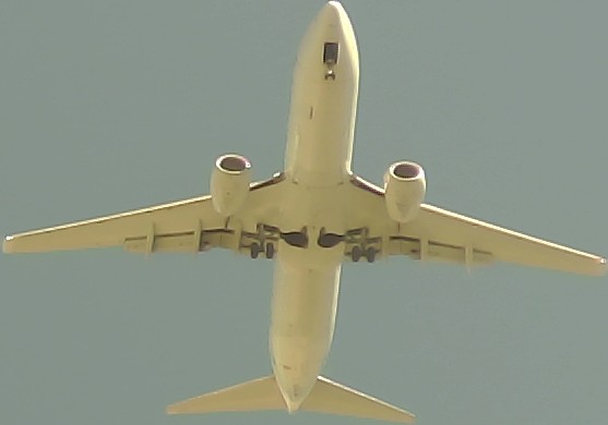 Airplane Picture