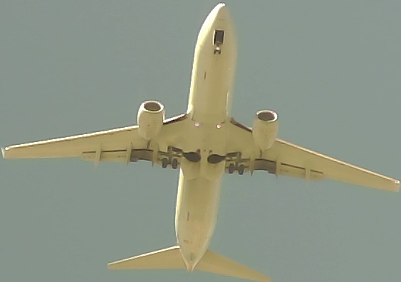 Airplane Picture
