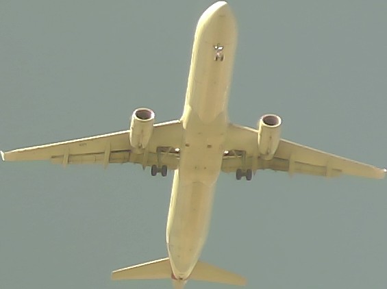 Airplane Picture