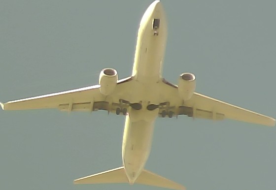 Airplane Picture
