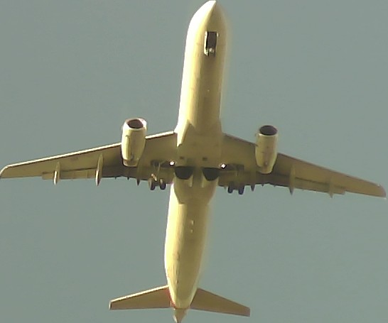 Airplane Picture