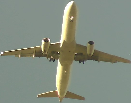 Airplane Picture
